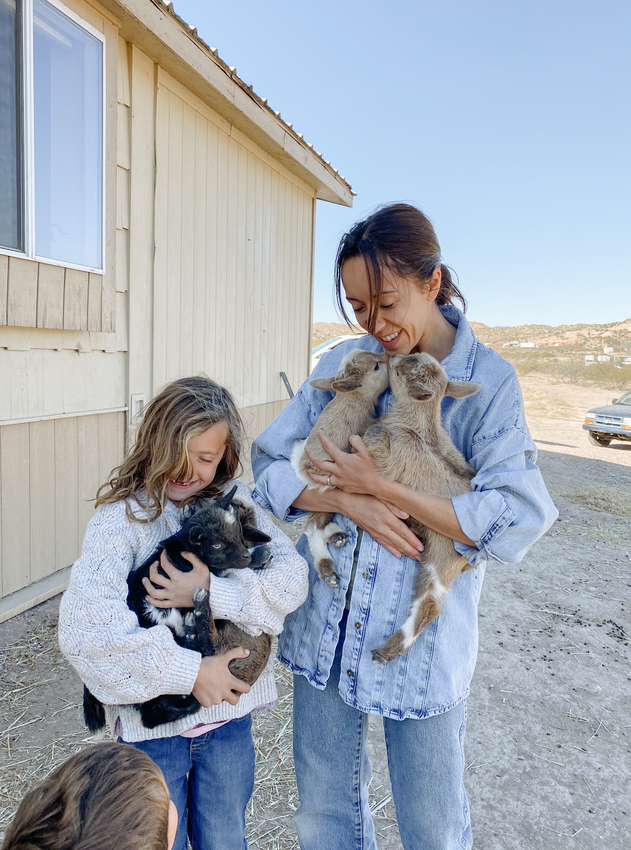 A Goat Kidding Nightmare (With A Good Ending)