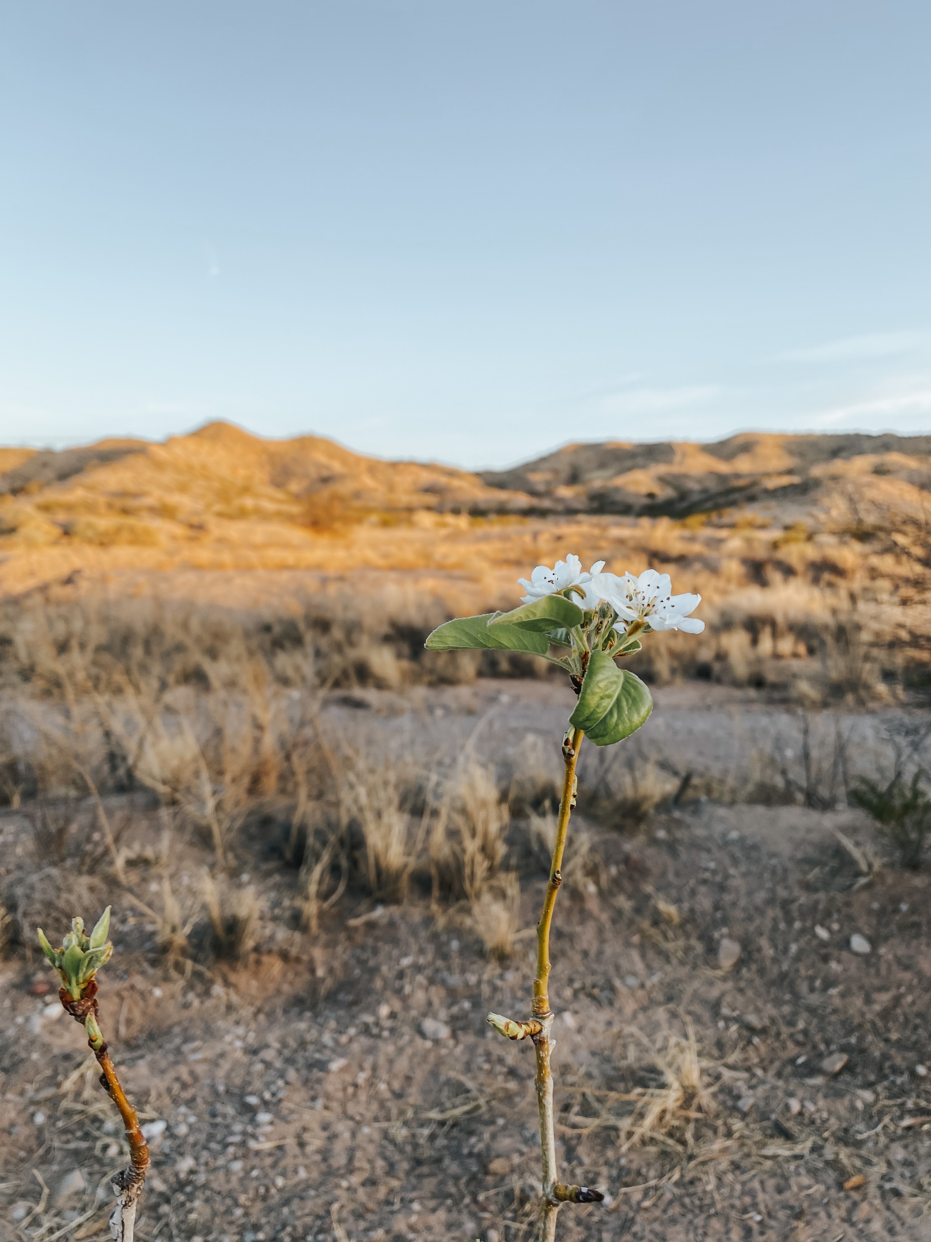 Why You Need To Share What God Has Done In Your Life- Even Though He’s Not Finished