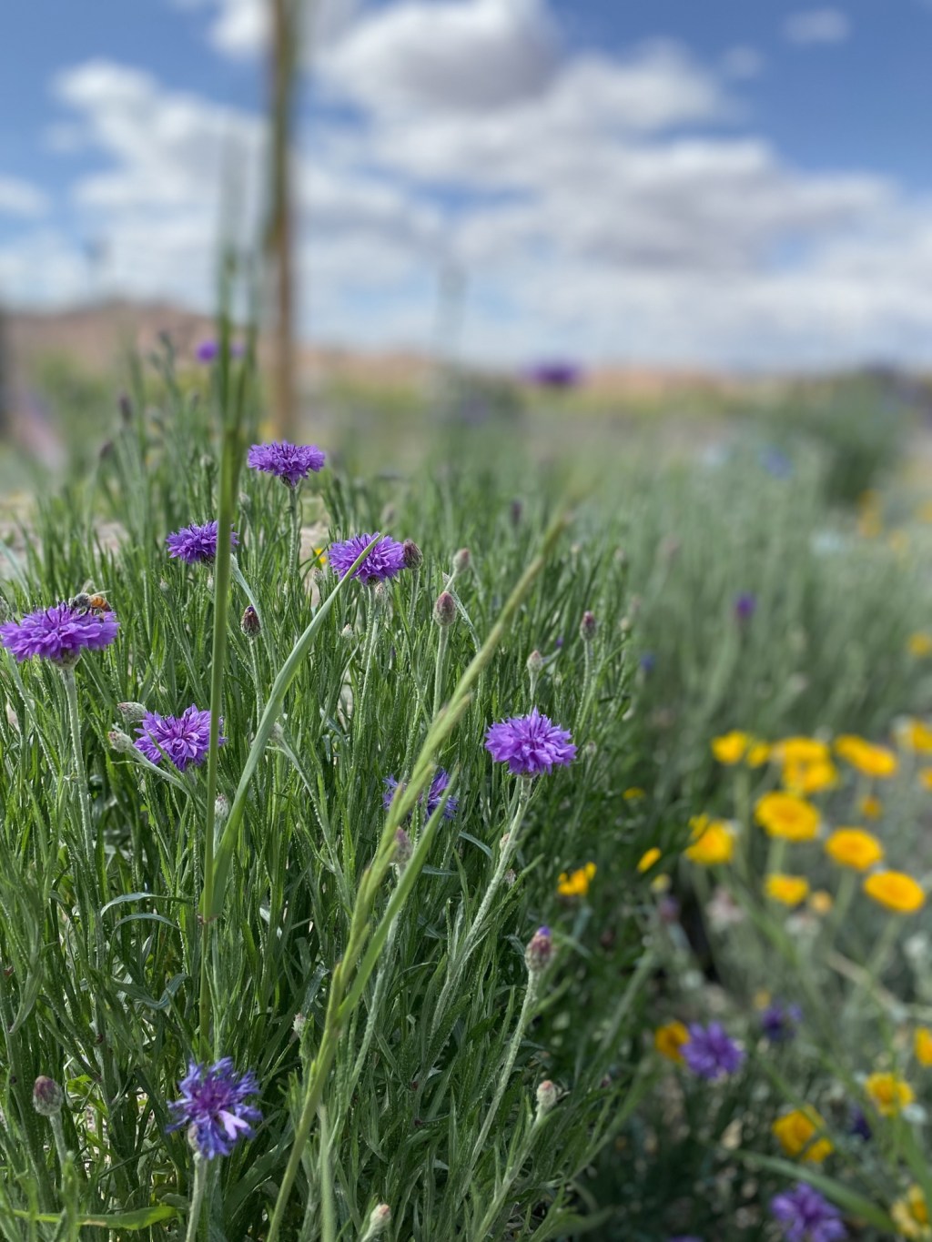 Our Moldy Kitchen and The Worst Quality a Christian Can&nbsp;Have