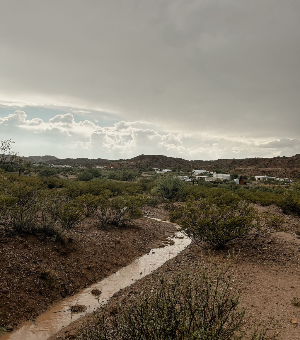 Mid-Year Reflection & Planning Ideas For Christian&nbsp;Families