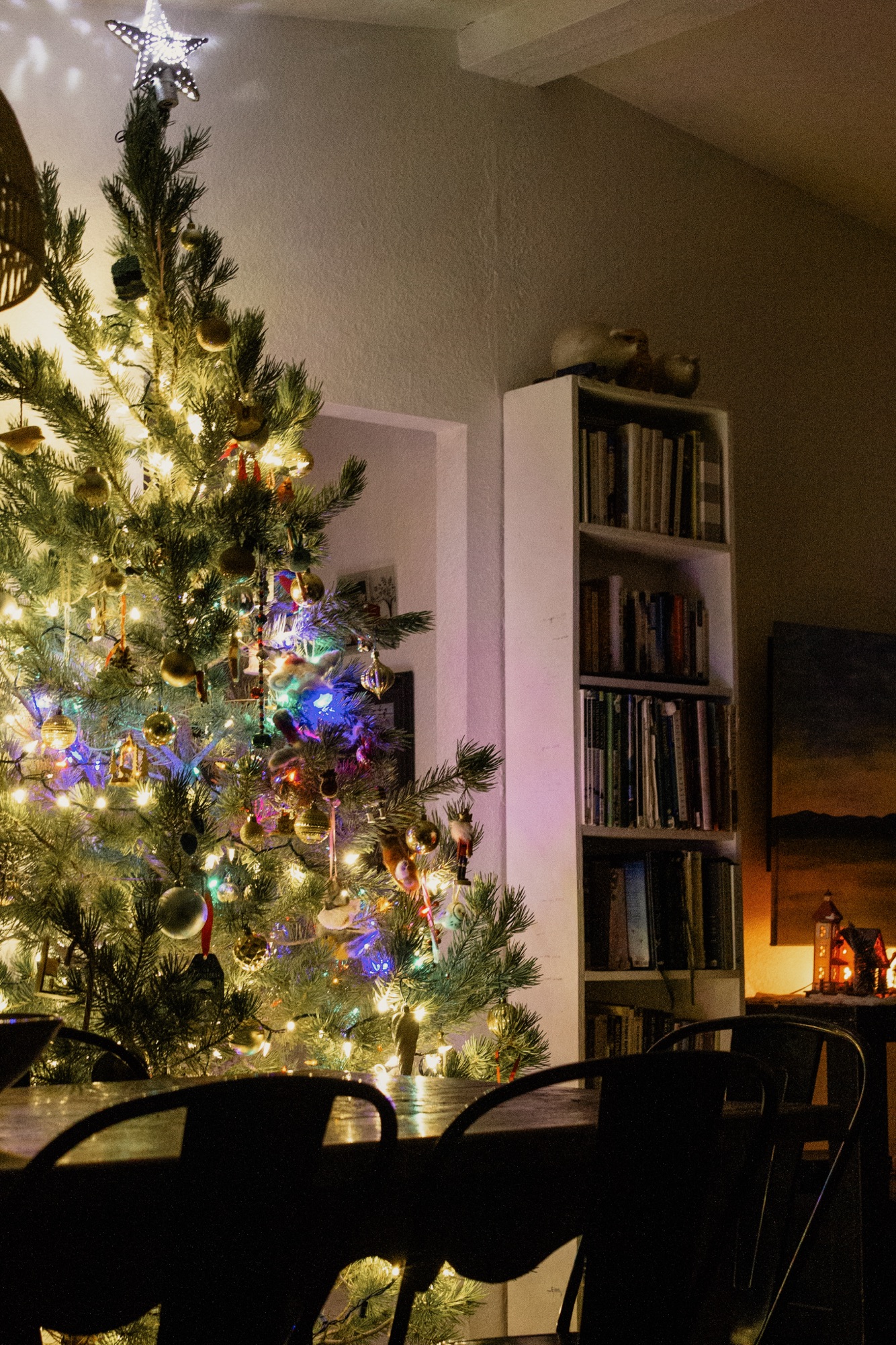 When life hands you lemons, take a Christmas-light drive