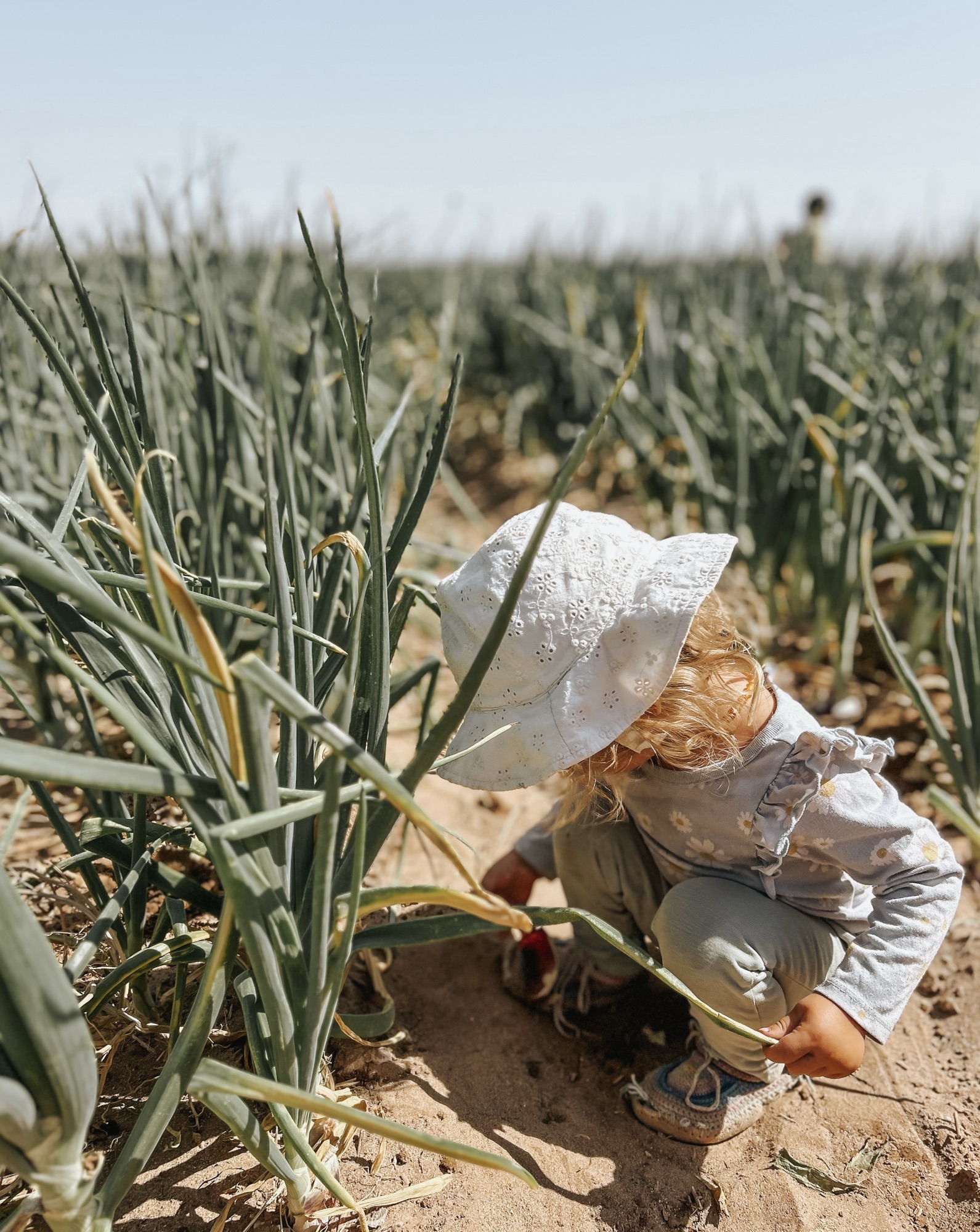 If you need inspiration for being passionate about your work… onions might help